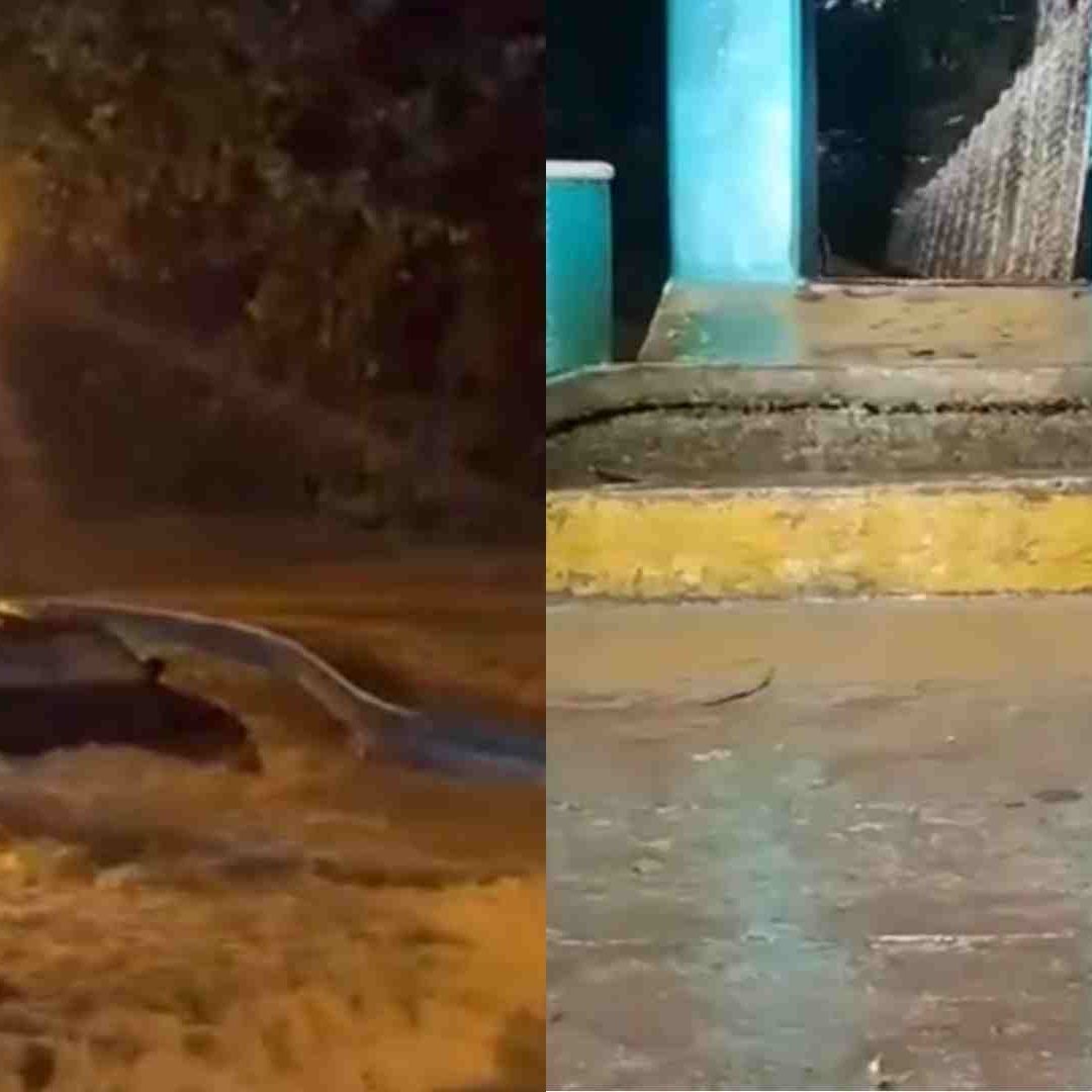 Afectaciones por las Lluvias en la Sierra Gorda Queretana