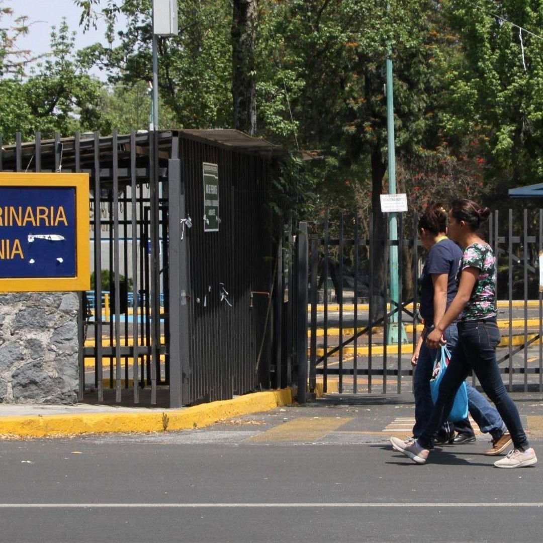 Otra Vez Reportan Presencia de Militares en la UNAM; Esto Es lo Que Sabemos