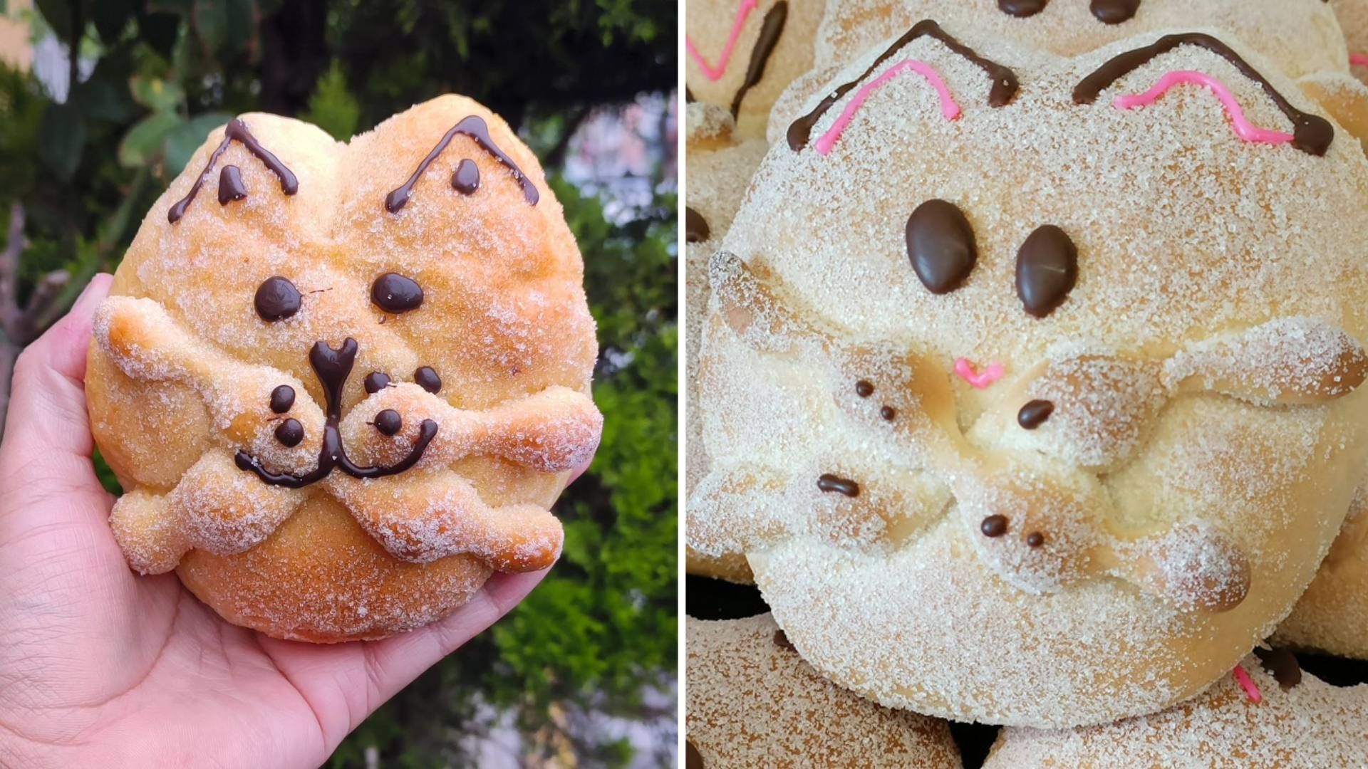 Michipan: Opciones para comprar pan de muerto de gatos en CDMX
