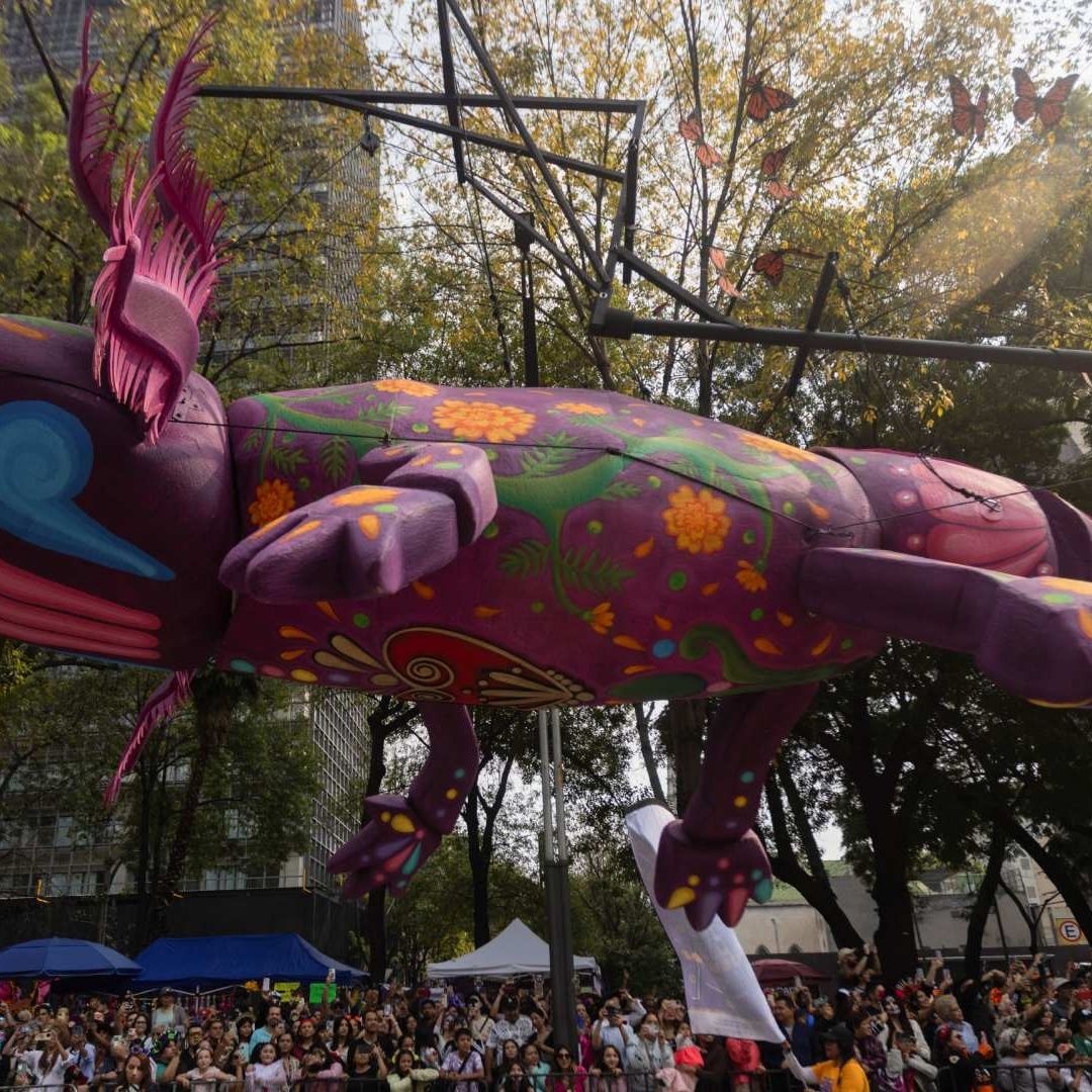 Miles de personas abarrotaron el Paseo de la Reforma para presenciar paso de catrinas, calaveras y carros alegóricos acompañados con música