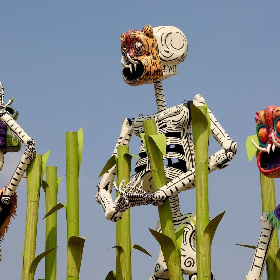 ¿Hasta Cuándo Estará la Ofrenda de Muertos del Zócalo 2024 en la CDXM? Este Día la Quitan