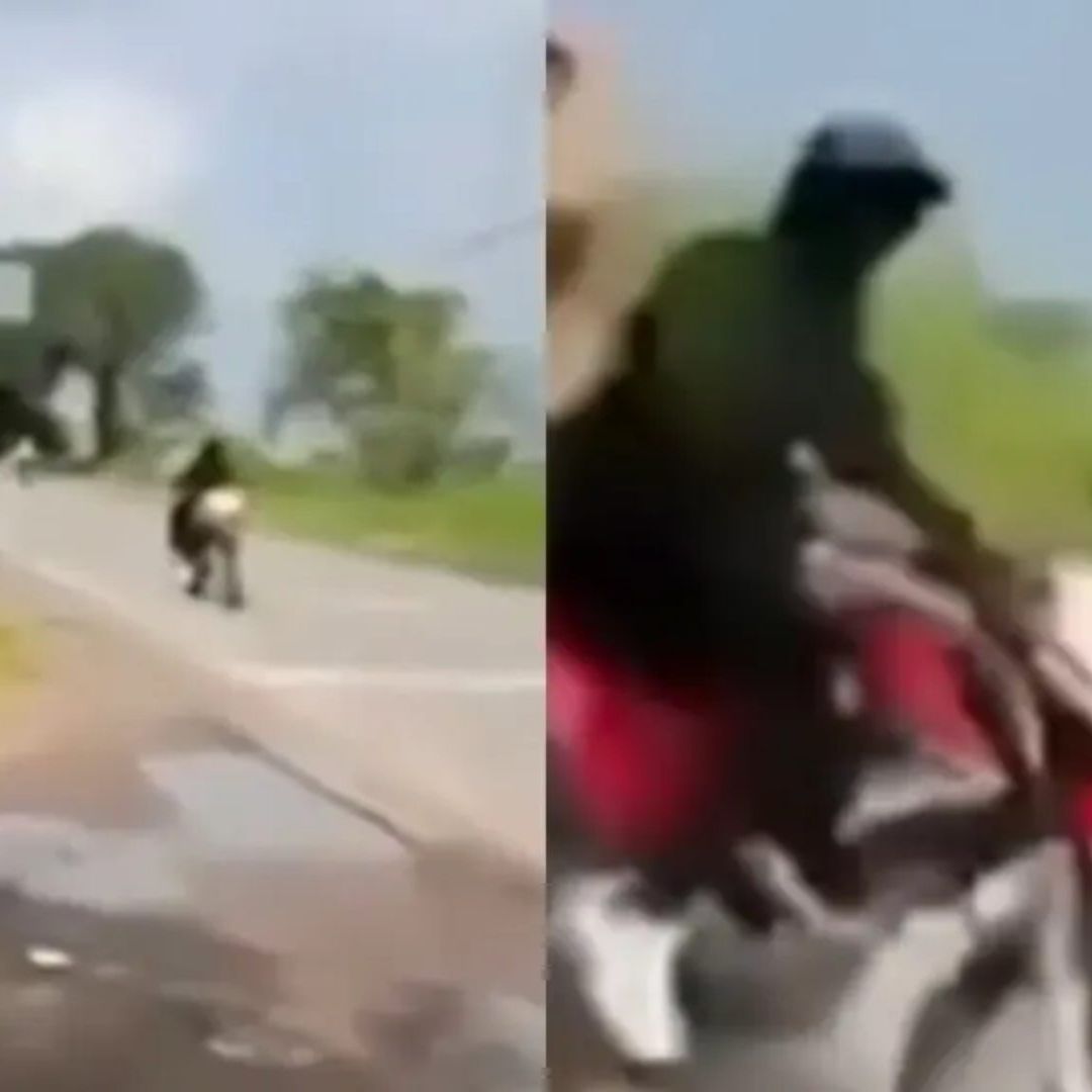 Muere Don Nico tras ataque