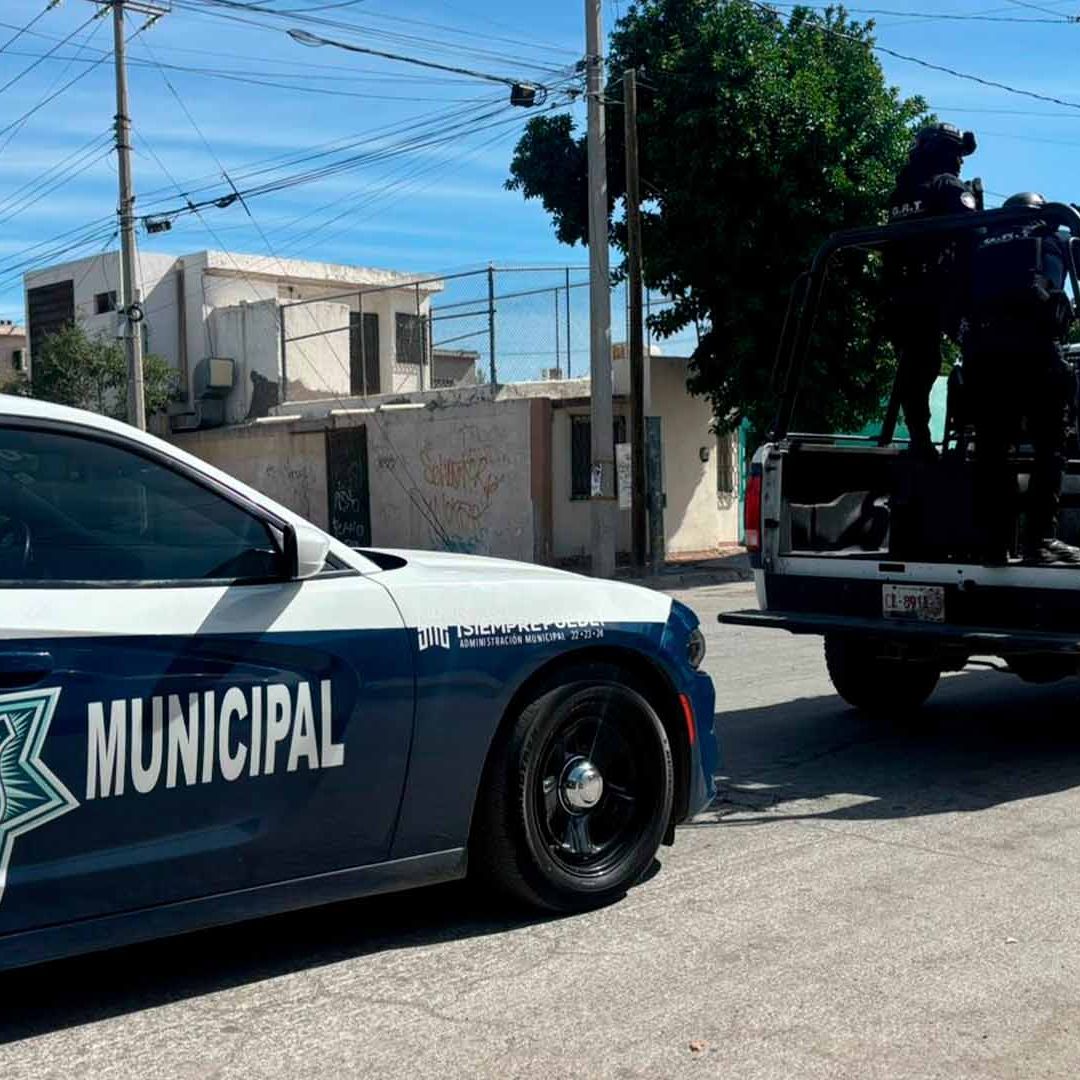 Violenta Pelea de Pandillas en La Dalia Deja 2 Muertos en Torreón