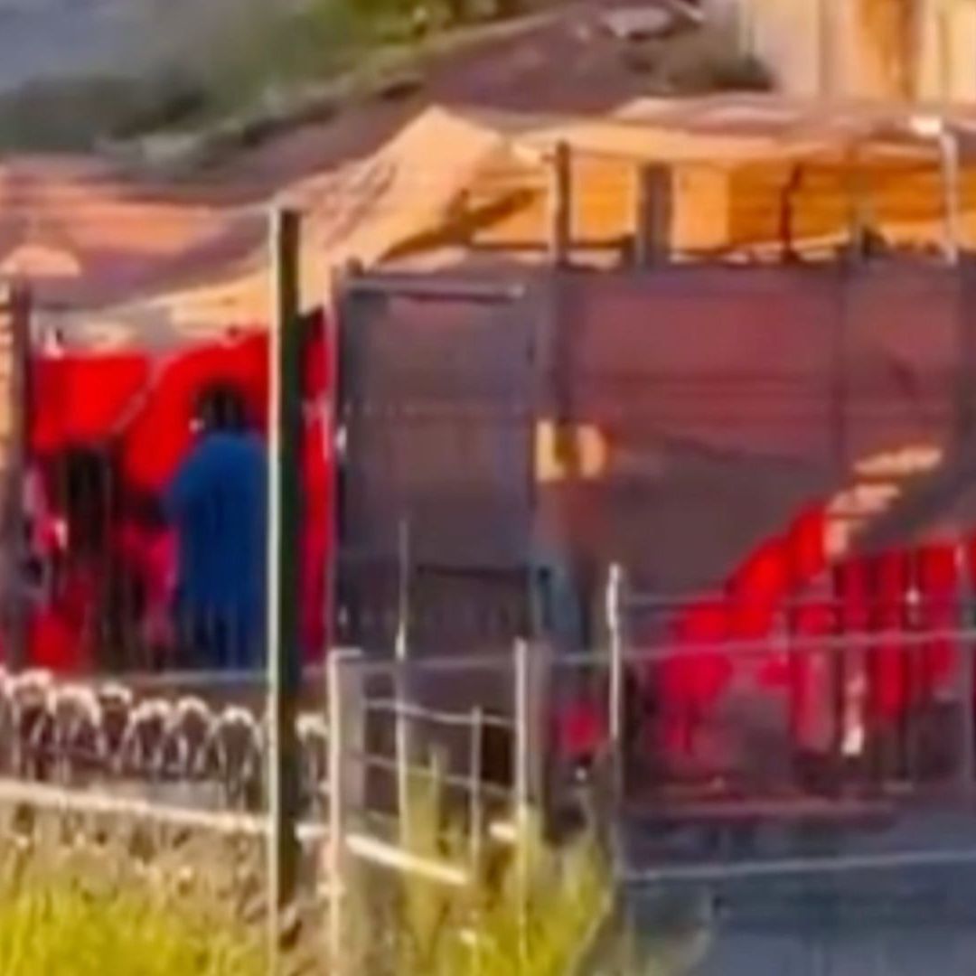 Perros Presuntamente Maltratados en Hotel de Mascotas son Entregados a sus Dueños en Hermosillo