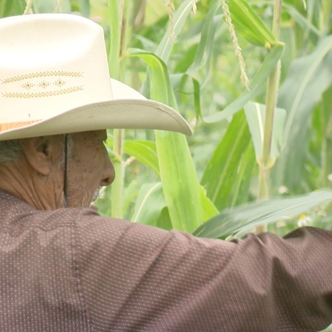 Campesinos Bloquearán la Carretera Guadalajara-Manzanillo y la Caseta de Ocotlán