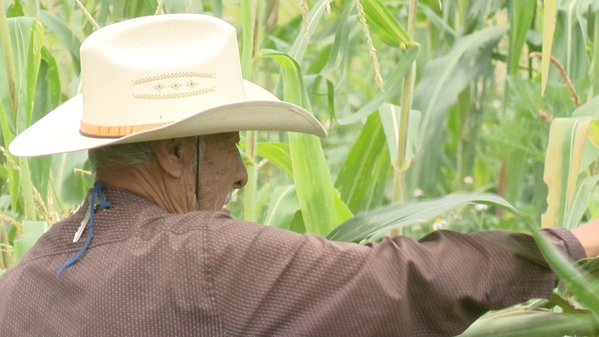 Campesinos Bloquearán la Carretera Guadalajara-Manzanillo y la Caseta de Ocotlán