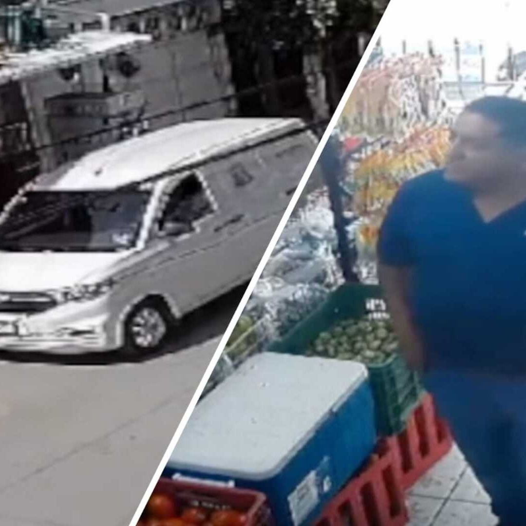 VIDEO Atropellan a Perro Salchicha que Tomaba el Sol en la Colonia Paseos de la Cima