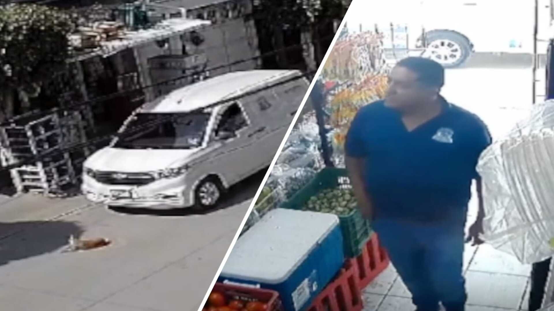 VIDEO Atropellan a Perro Salchicha que Tomaba el Sol en la Colonia Paseos de la Cima