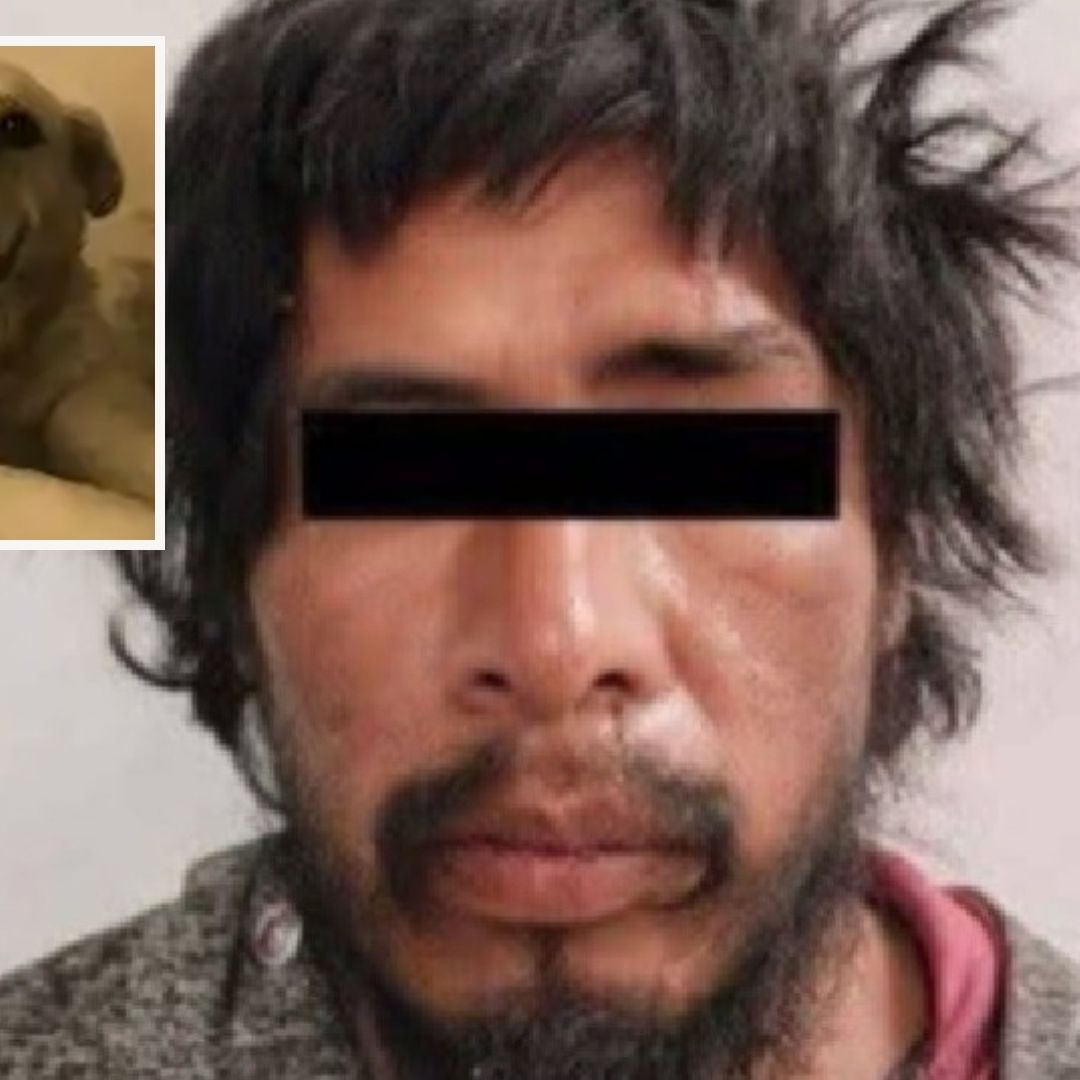 Luis N Maltrato Animal Perro Huesitos Lesionado Santiago Miahuatlán Puebla