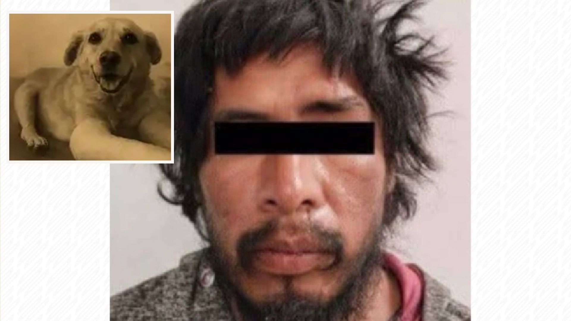 Luis N Maltrato Animal Perro Huesitos Lesionado Santiago Miahuatlán Puebla
