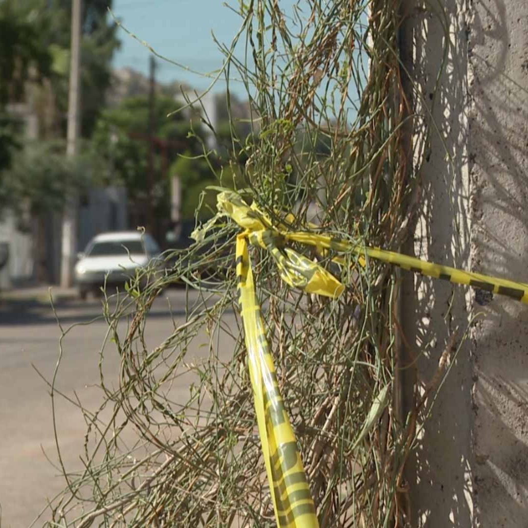 Joven Motocilista Fue Lesionado a Balazos en Colonia Palo Verde de Hermosillo, Sonora