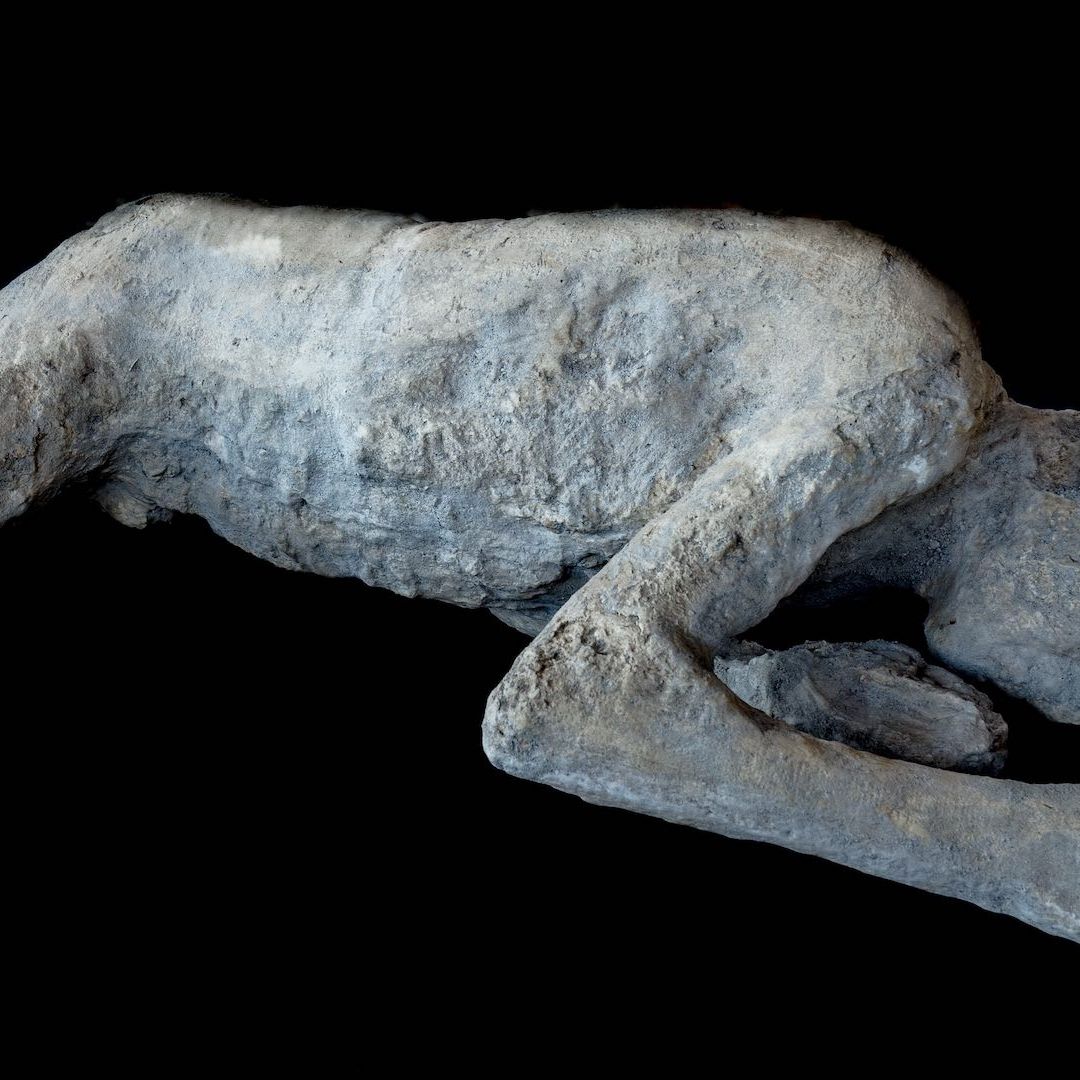 Analizan el ADN de los fallecidos en la erupción del Vesubio, en Pompeya