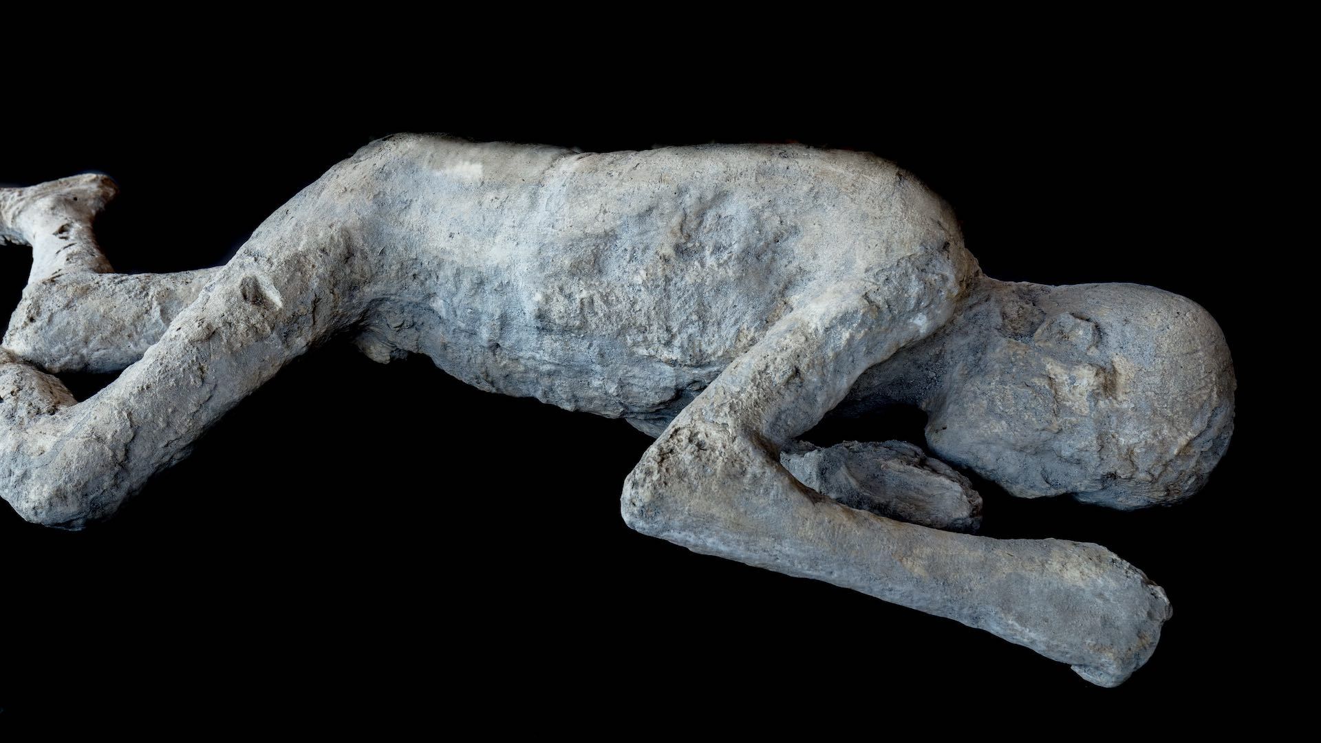 Analizan el ADN de los fallecidos en la erupción del Vesubio, en Pompeya