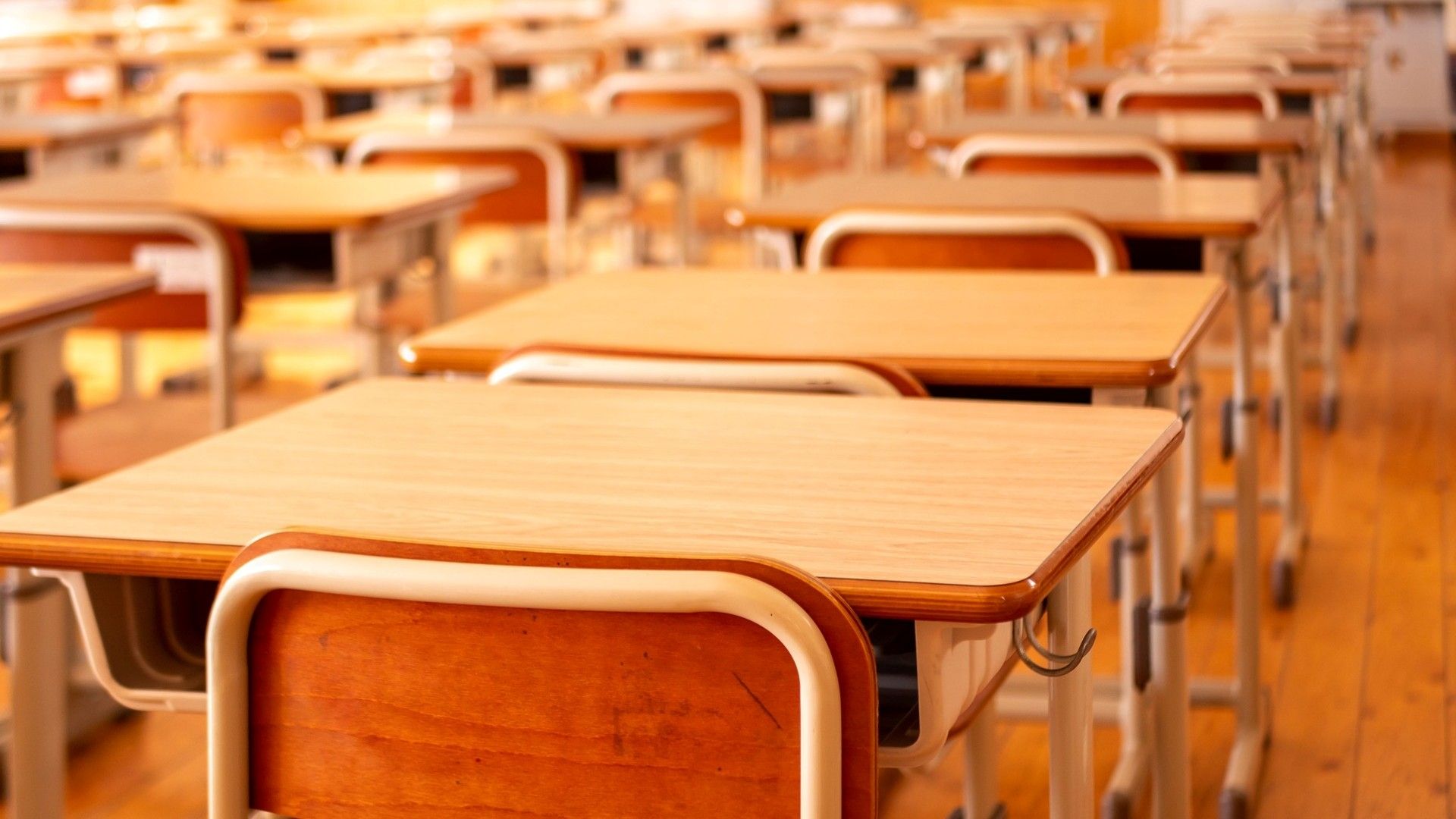 Hay clases mañana lunes 11 de noviembre 2024 o es festivo en México calendario SEP aclara confusión