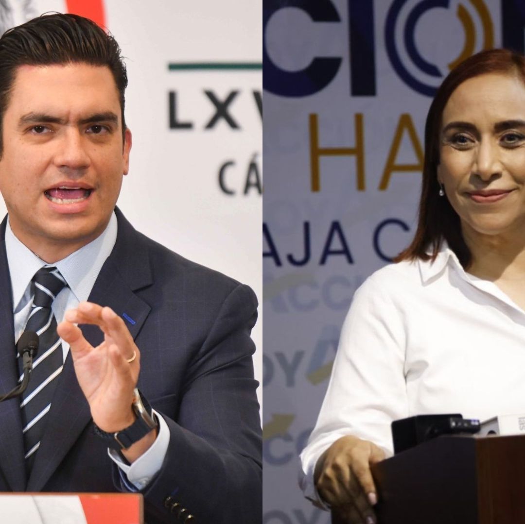 Elige el PAN nueva dirigencia hoy domingo 10 de noviembre