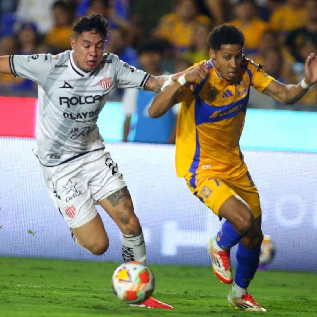 Necaxa no puede darse el lujo de perder ante Tigres, en la fecha 13 de la Liga MX 2025.