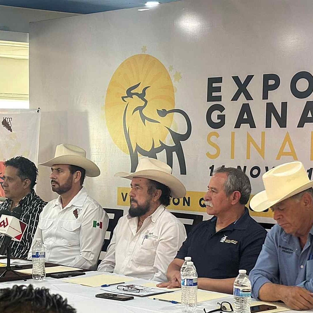 Violencia en Sinaloa Cancela Eventos: Suspenden Expo Ganadera 2024