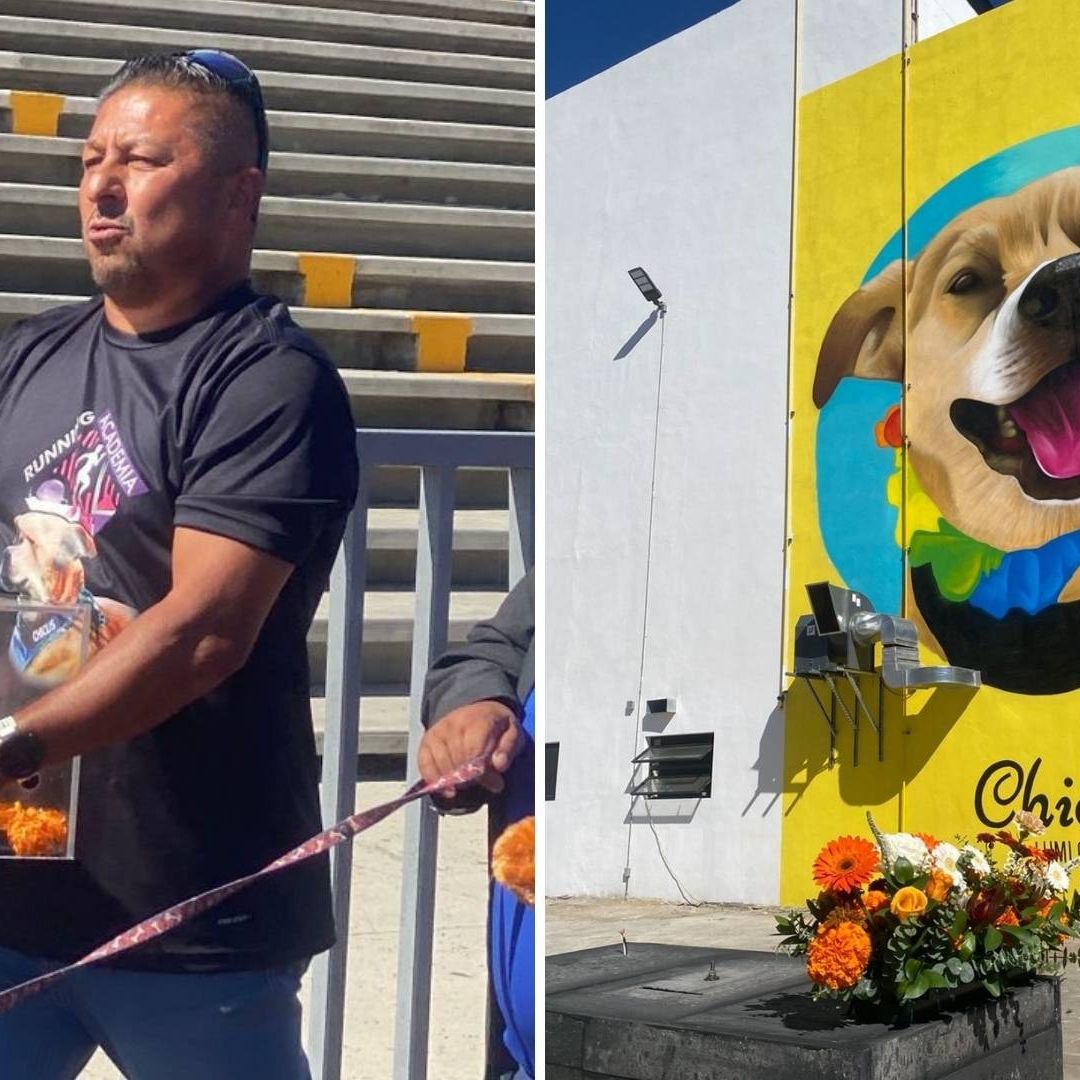 Urna con Cenizas de Chicles Recorre Pista en Tijuana