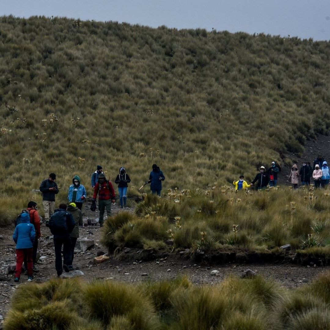 Reabren Actividades Turísticas Sustentables en el Nevado de Toluca; ¿En Qué Consisten?