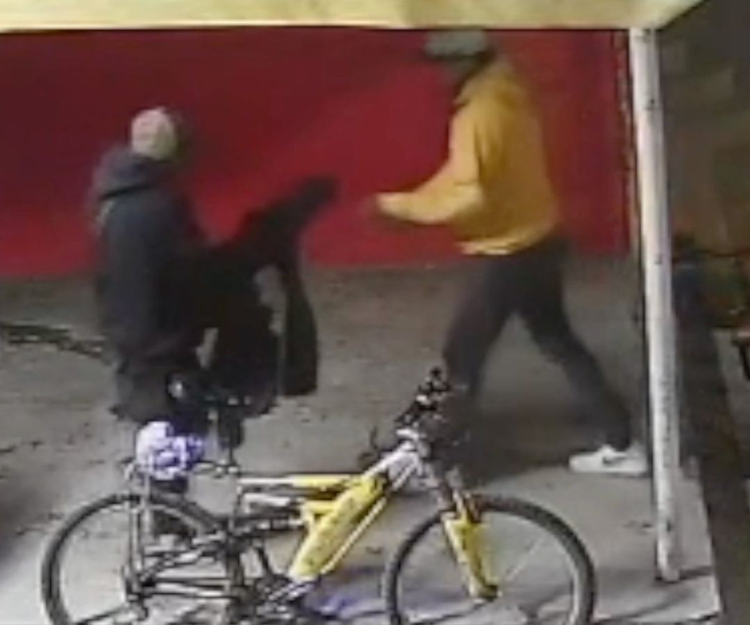 Captan Robo a Negocio en la Candelaria en León Guanajuato