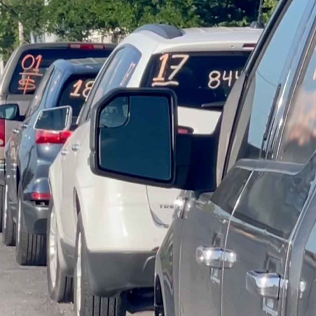 Denuncian Presunto Robo de Identidad para Realizar Trámites de Repuve en Tamaulipas