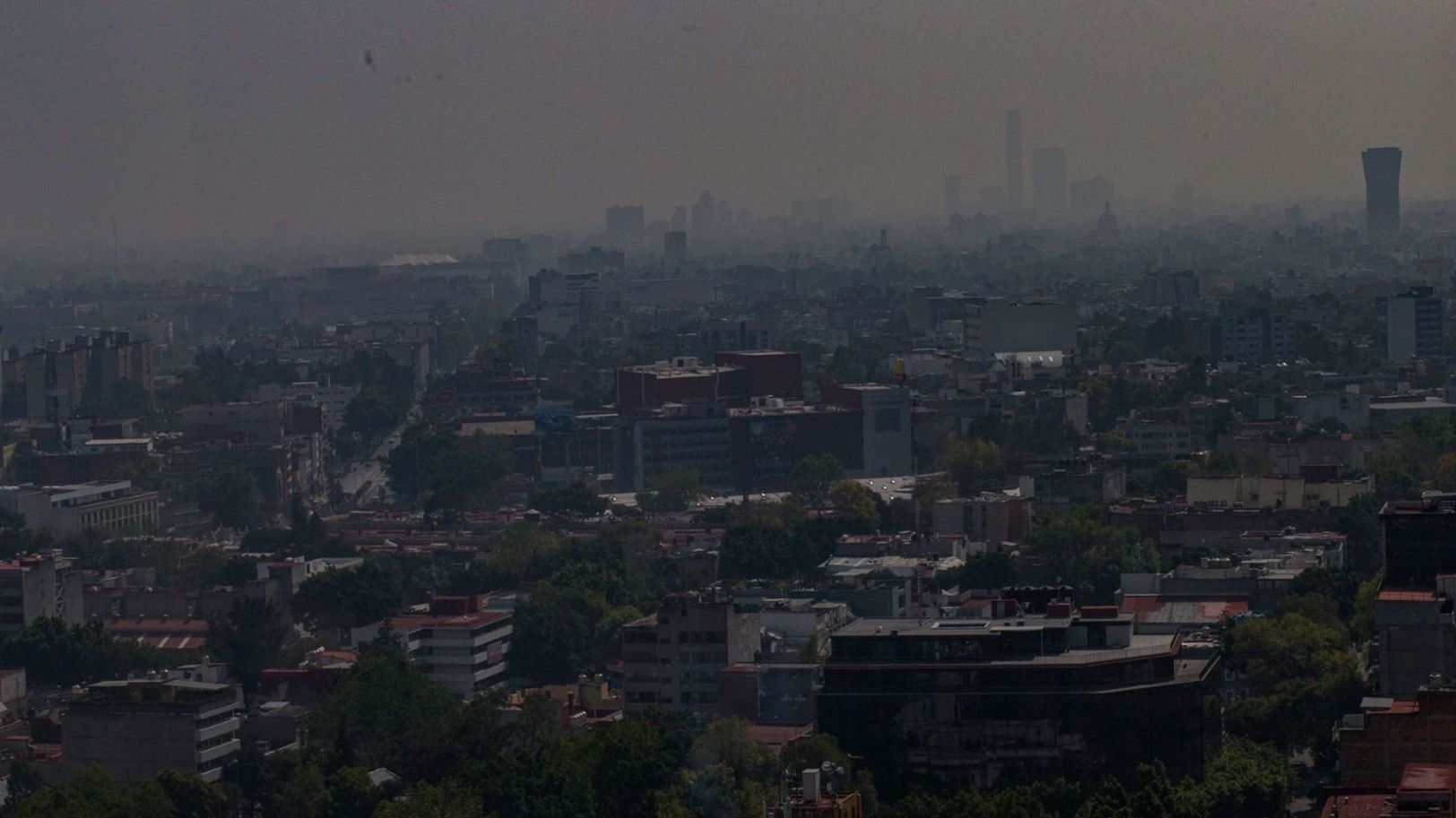 Se ha asociado el material particulado por la contaminación con distintos problemas pulmonares