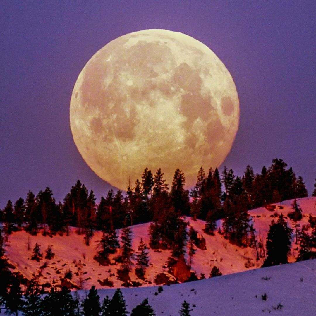 Conoce la hora exacta del punto máximo de la Luna llena de noviembre 2024 en México
