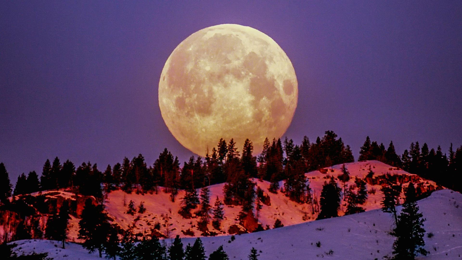 Conoce la hora exacta del punto máximo de la Luna llena de noviembre 2024 en México