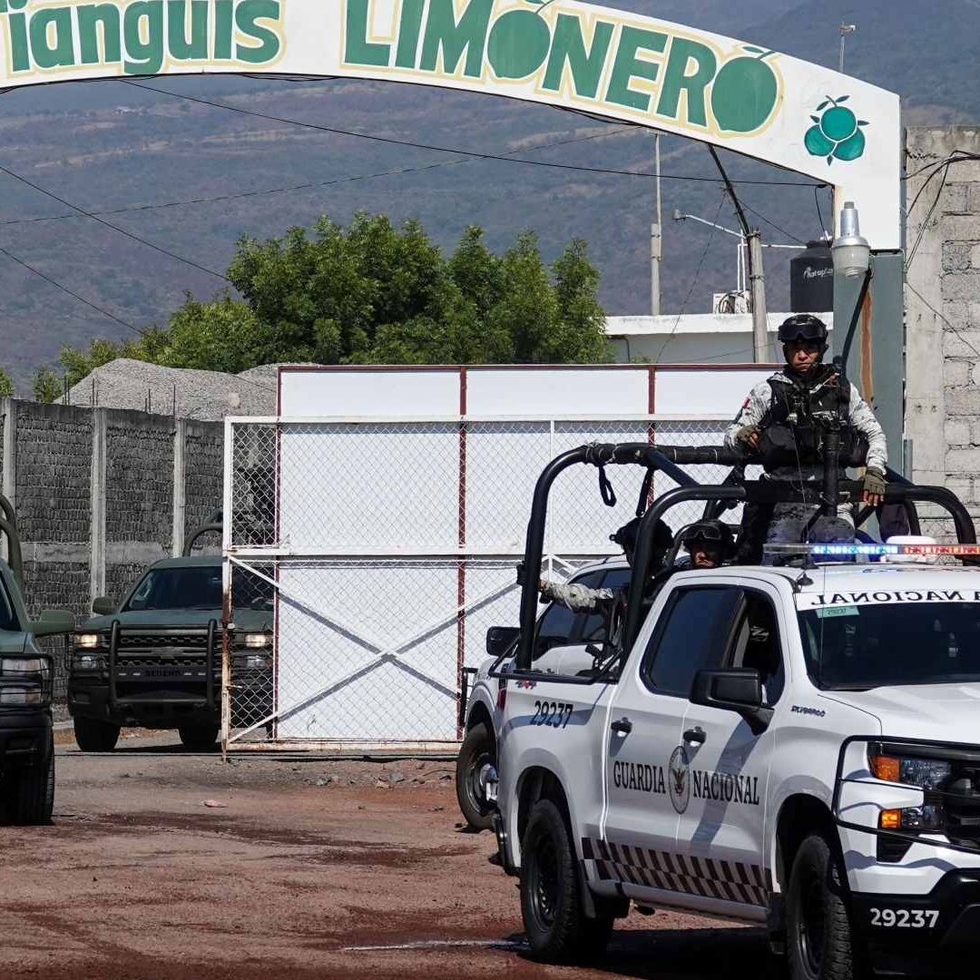 Operativo de la Defensa y la Guardia Nacional en Michoacán ante afectaciones al sector limonero, en noviembre 2024. Foto: Cuartoscuro | Archivo