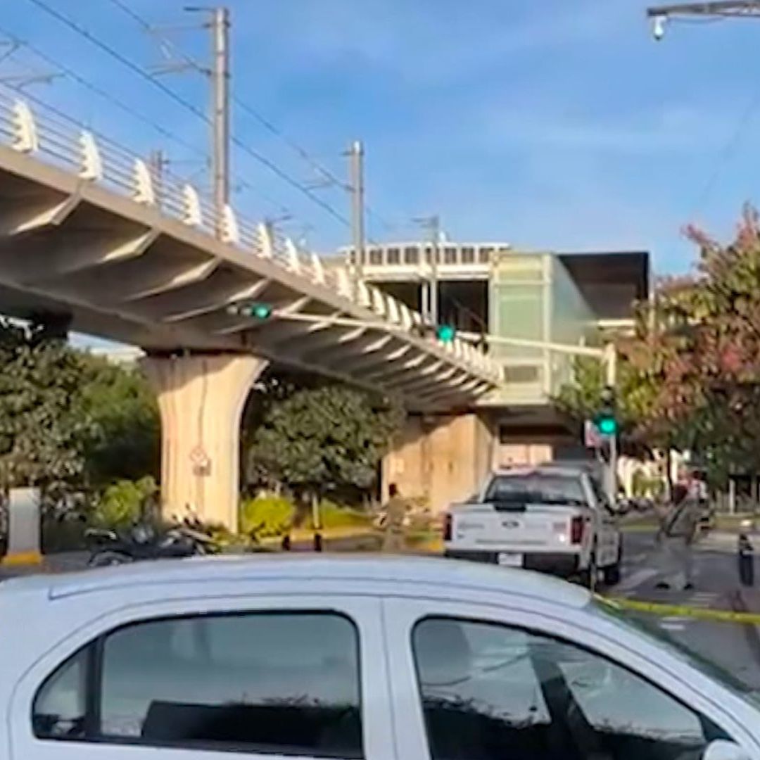 Ataque de abejas en la línea 3 del Tren Ligero en Zapopan