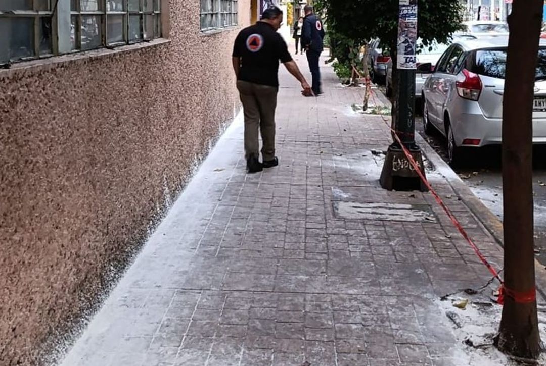 Vecinos señalan polvo blanco en la Escandón que afecta a mascotas