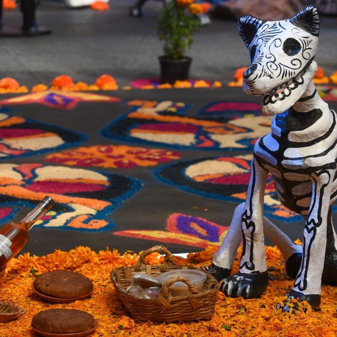 Ofrenda Mascotas Día de Muertos