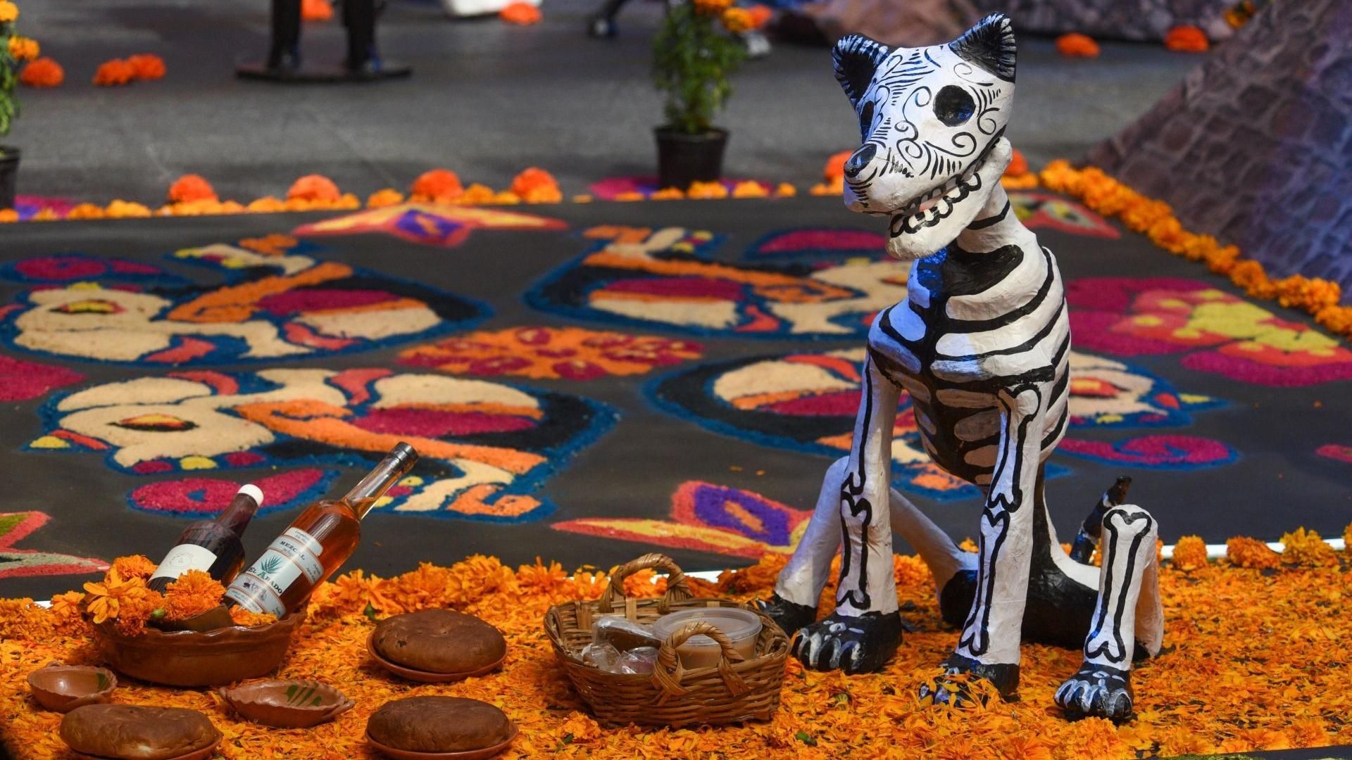 Ofrenda Mascotas Día de Muertos
