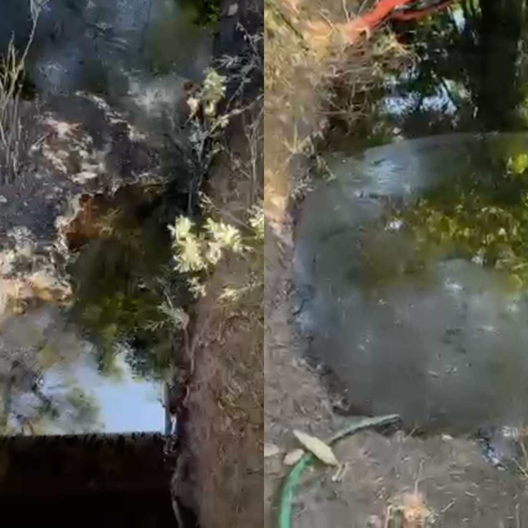 Derrame Hidrocarburos Río Pantepec Citlaltépetl Tuxpan Veracruz Marina Activa Plan de Contingencia