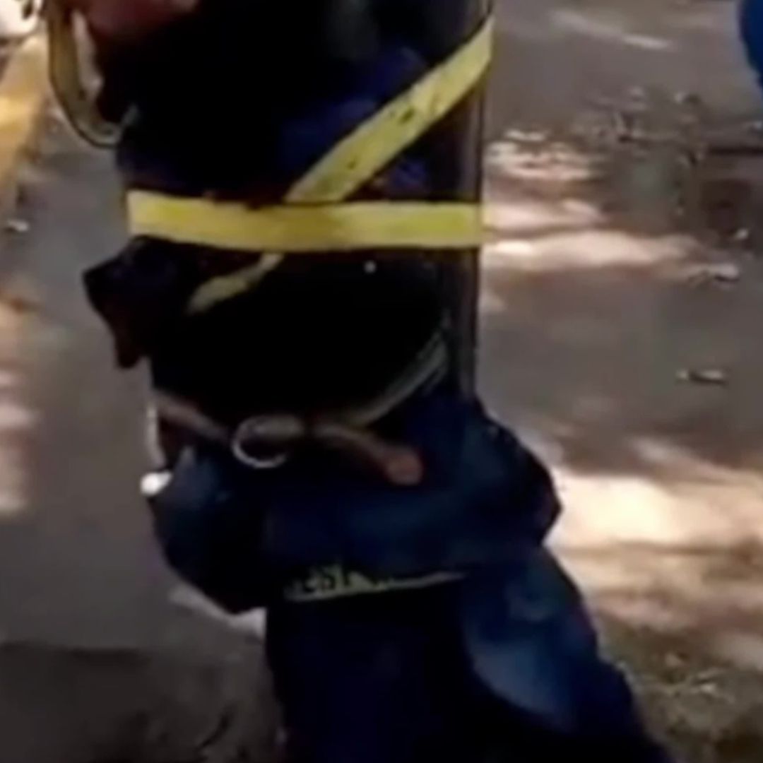 Presunto Ladrón es Amarrado por Vecinos de una Colonia en León. Foto: Nmás Bajío