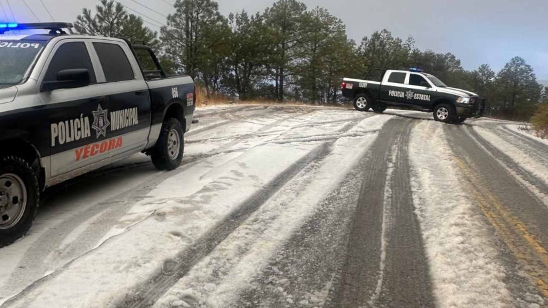 Cae la Primera Nevada en Sonora 2024 en el Municipio de Yécora