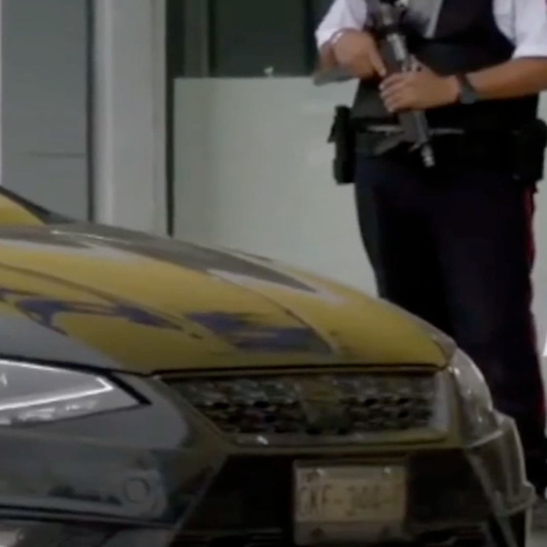 Seguridad Privada Frustra Robo en Tienda Departamental en Plaza Jacarandas en Irapuato Guanajuato