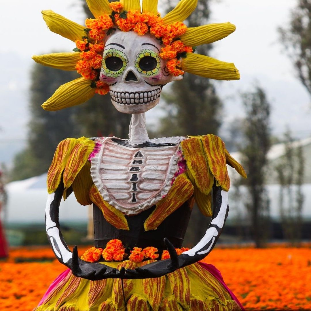 Una catrina en medio de flores de cempasúchil.