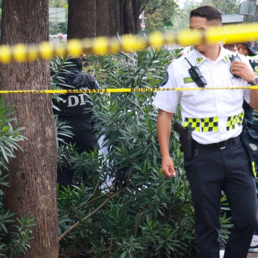Estudiante Va al Bosque de Chapultepec, Desaparece y lo Hallan Muerto en CDMX