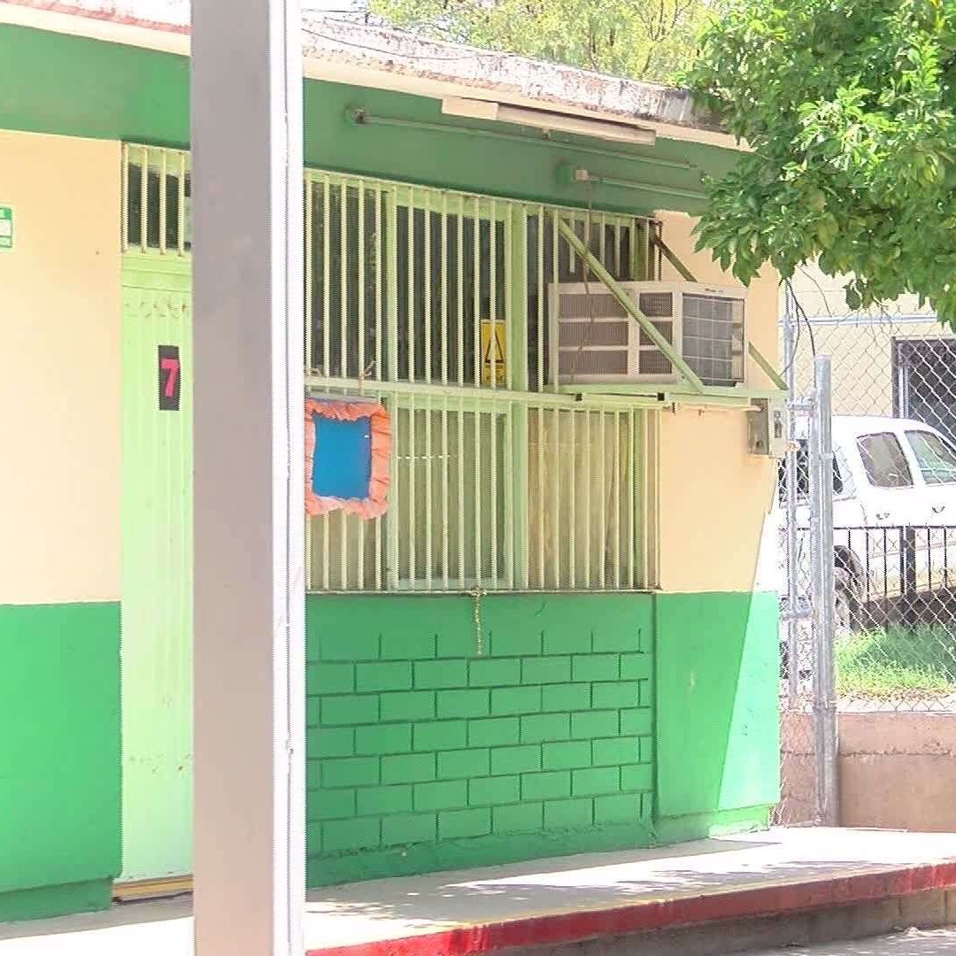 Muere Niña de 5 Años por Picadura de Alacrán; IMSS Sonora Emite Comunicado