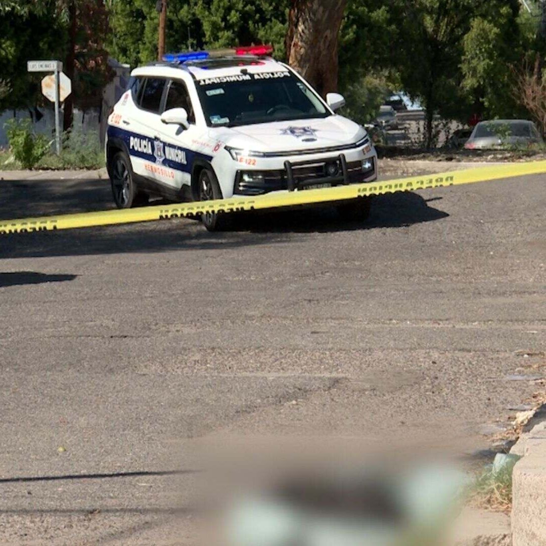 Abandonan a Perrito Sin Vida Envuelto en Cobija en Colonia Centro de Hermosillo. Foto: N+