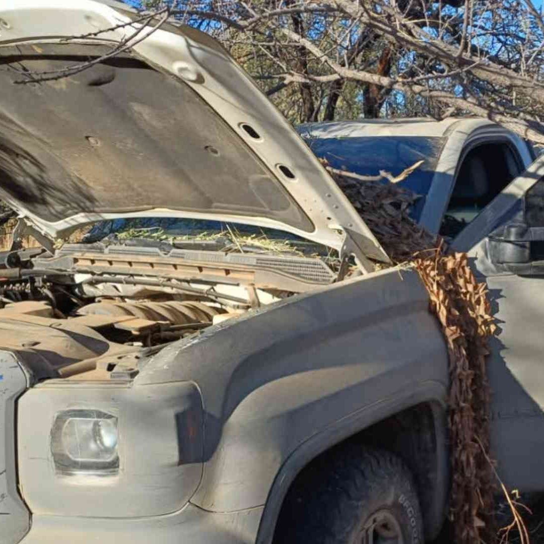 Abaten a 3 Criminales en Ataque Armado Entre Civiles y Autoridades en Sáric
