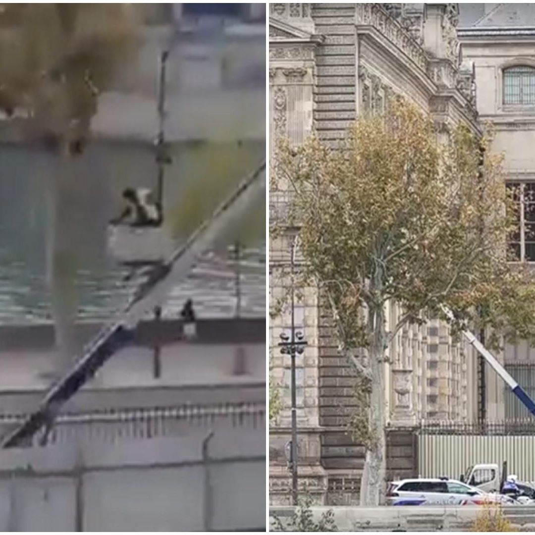 El Museo del Louvre reabrió sus puertas el miércoles 22 de octubre.