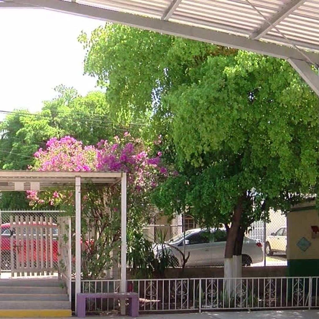 Suspenden Clases en Jardín de Niños Donde Murió Niña de 5 Años Picada por Alacrán, en Hermosillo