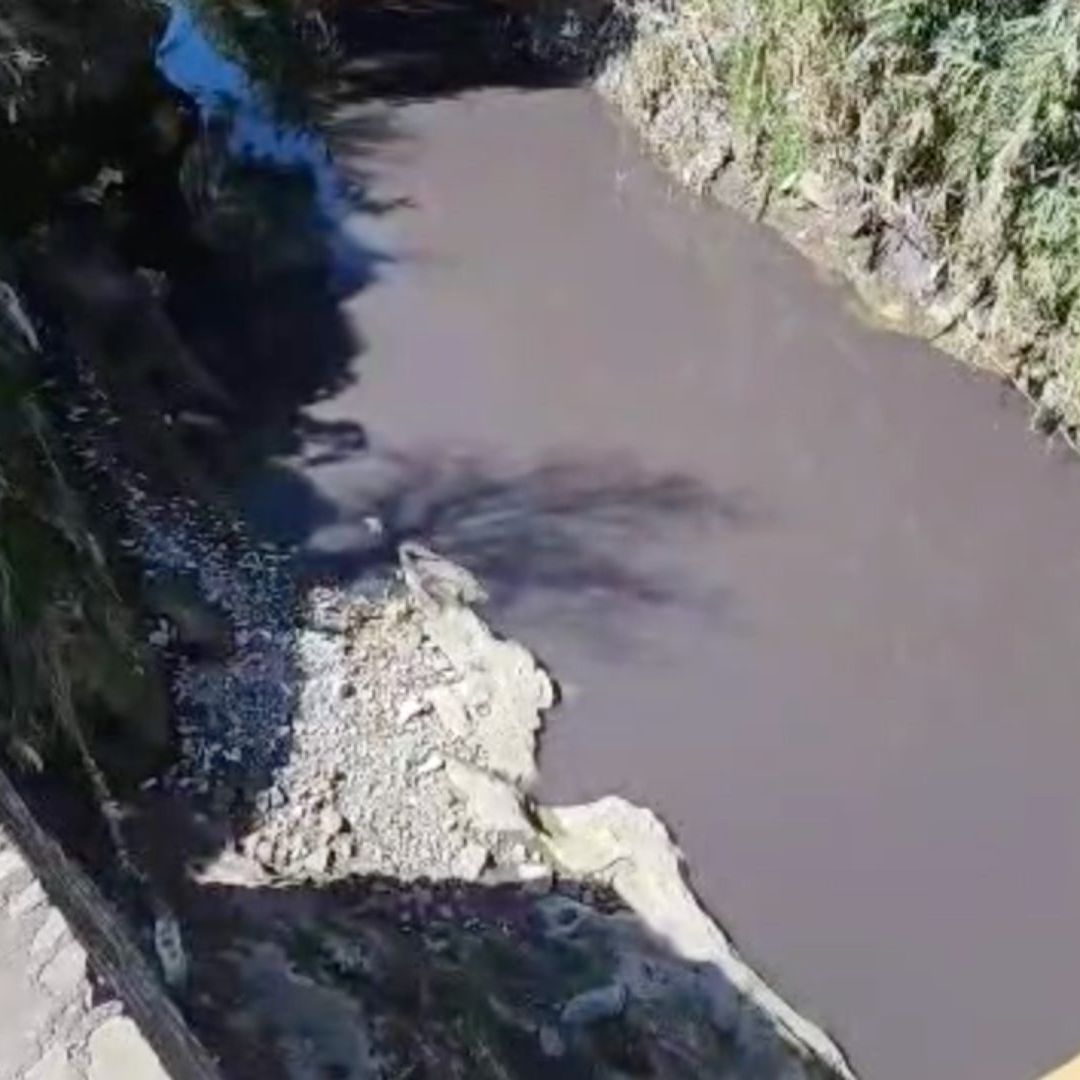 Hallazgo Cuerpo Sin Vida Hombre Flotando en Río Alseseca San Francisco Totimehuacan Puebla