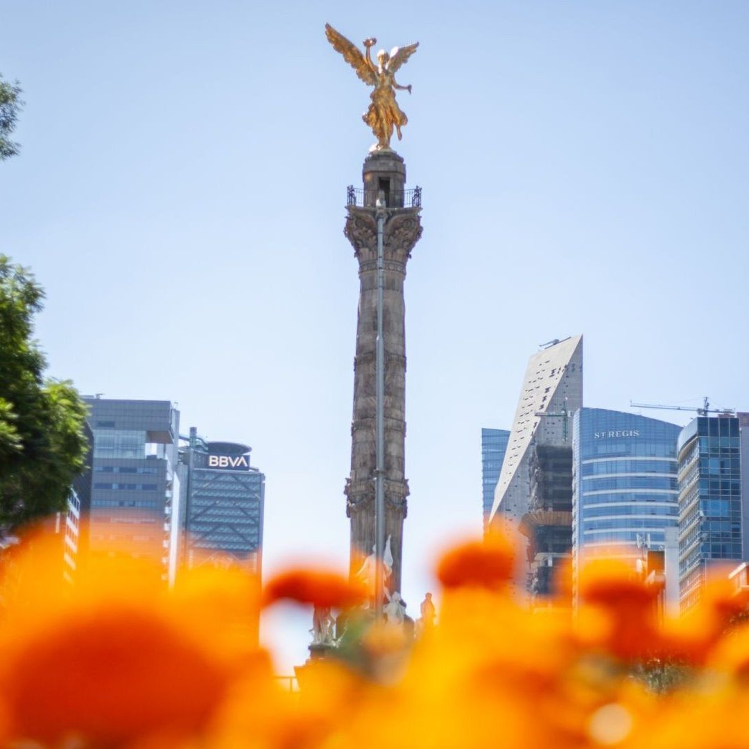 Flores de cempasúchil adornan Reforma y el Ángel de la Independencia