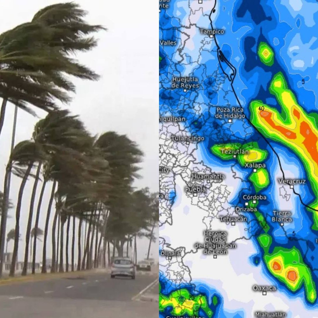 Frente Frío 11 Evento Norte Golpearán Veracruz 2025 Cuándo Entra Emiten Alerta Gris
