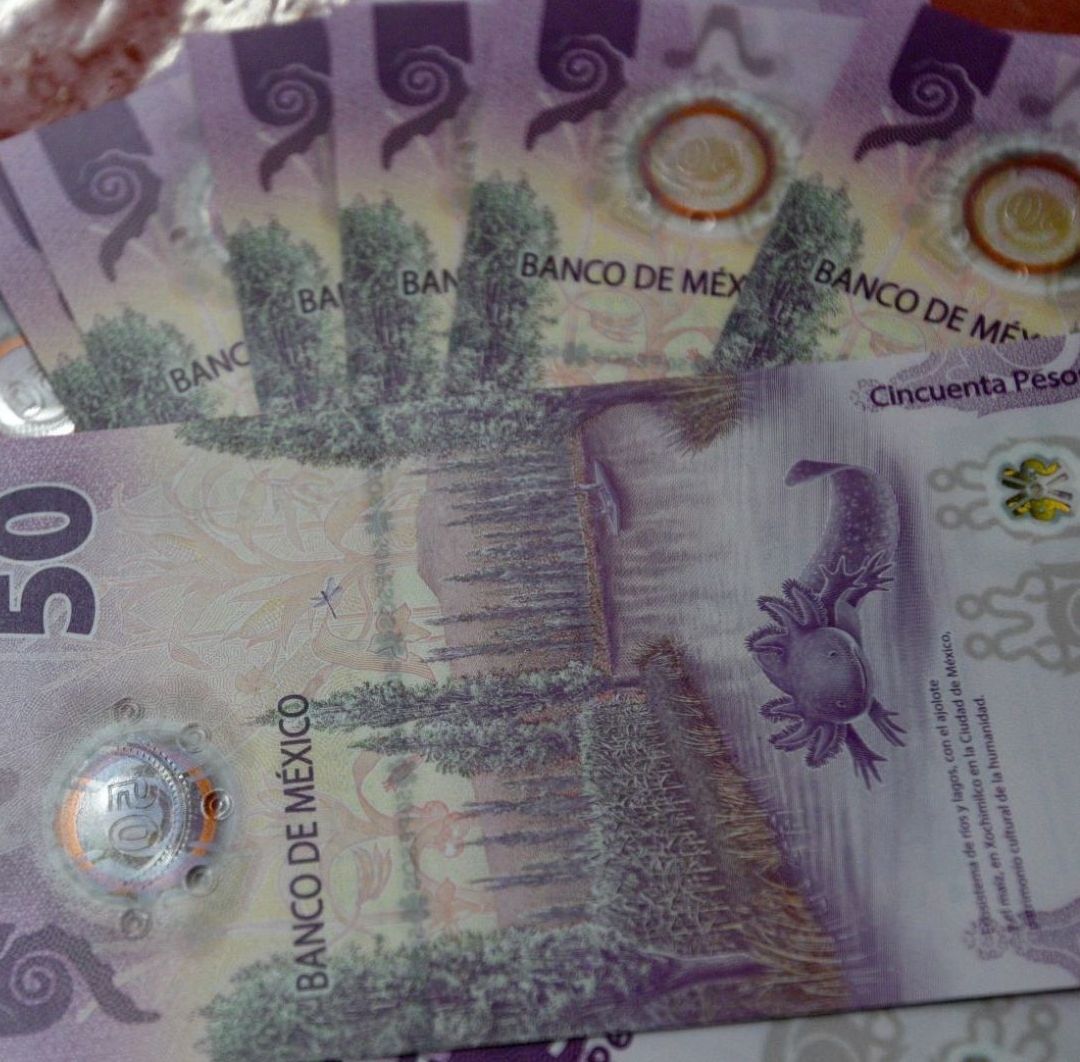 Aguinaldo 2025 y el SAT: ¿Cuánto Dinero Recibiré Menos el Descuento de Impuestos?