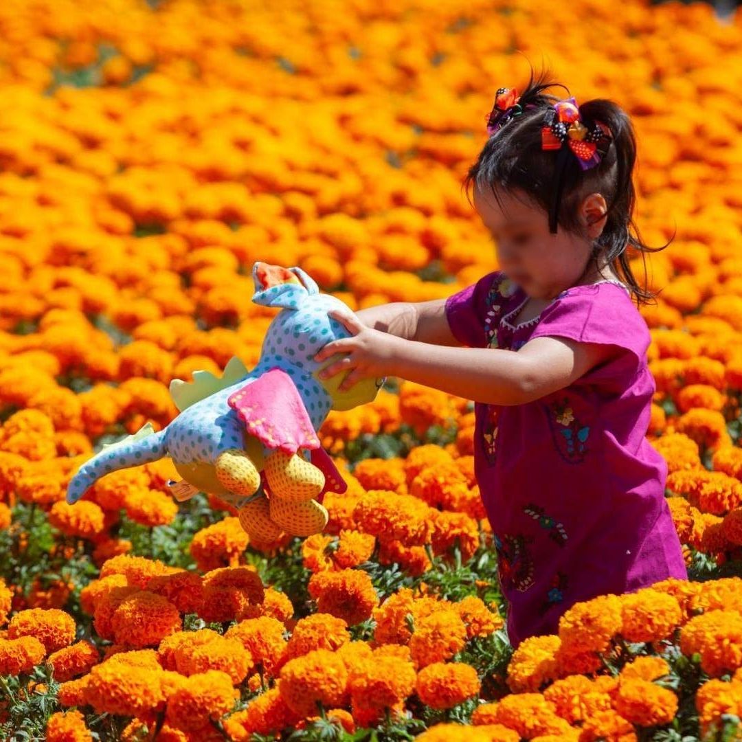 Día de Muertos para Niños