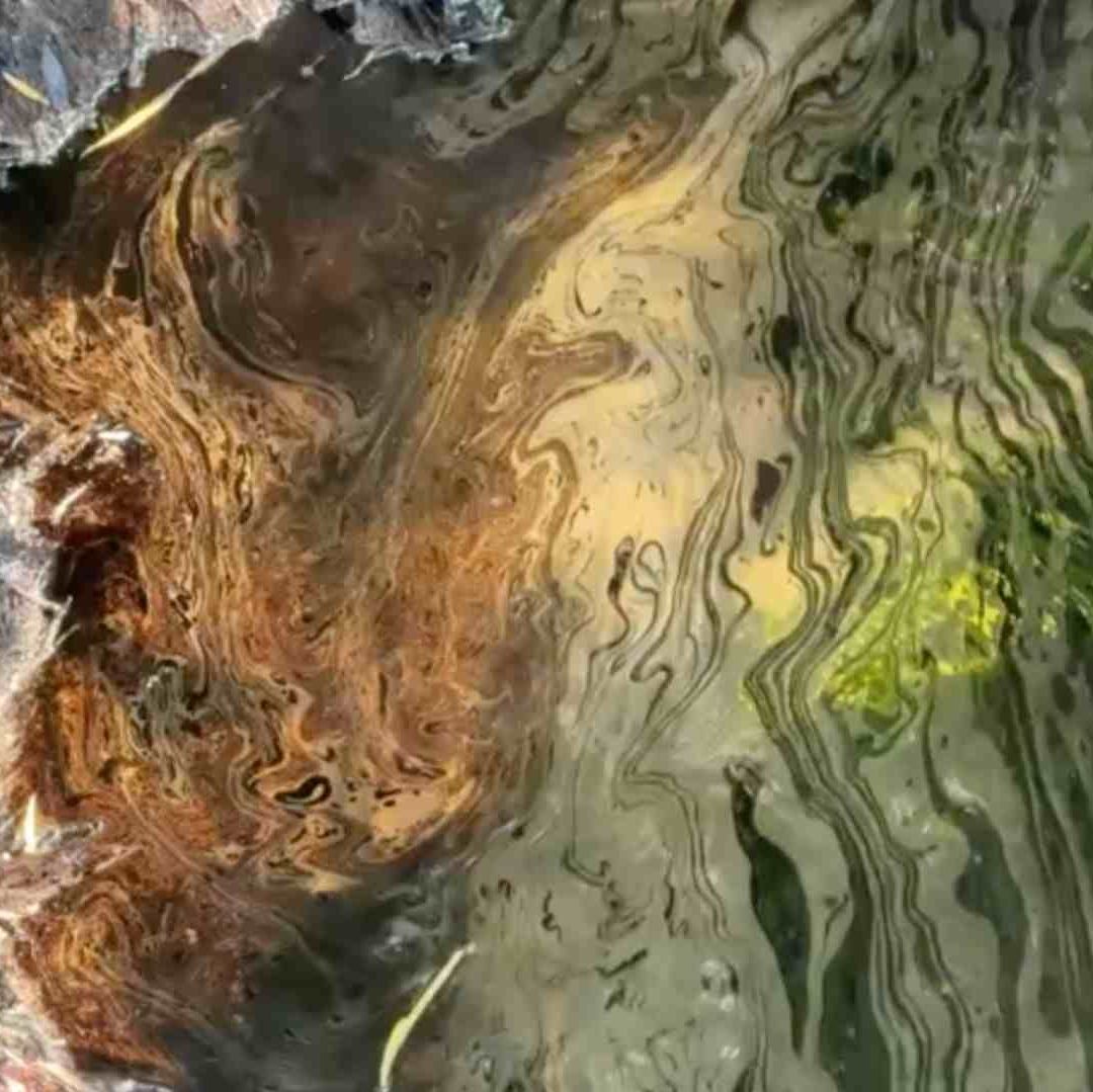PEMEX Informa Sobre el Derrame de Hidrocarburos en Río Pantepec Álamo Veracruz